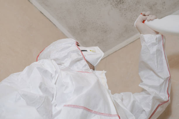 Best Crawl Space Mold Removal  in Mount Pleasant, PA