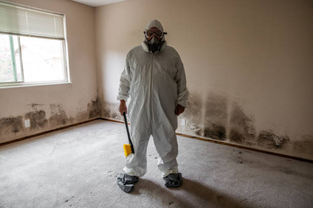 Best Emergency Mold Removal  in Mount Pleasant, PA